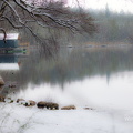 Vorsee im Winterzauber